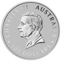  1oz Platinum Kangaroo Bullion Coin