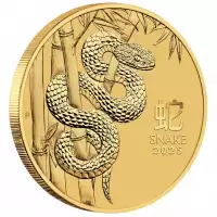  1/2oz Lunar New Year Snake 2025 Gold 9999