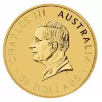  1/2oz Perth Mint Kangaroo 2024 Minted Coin Gold